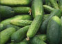 Cucumbers