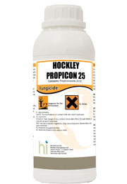 hockley-propicon-25.jpg